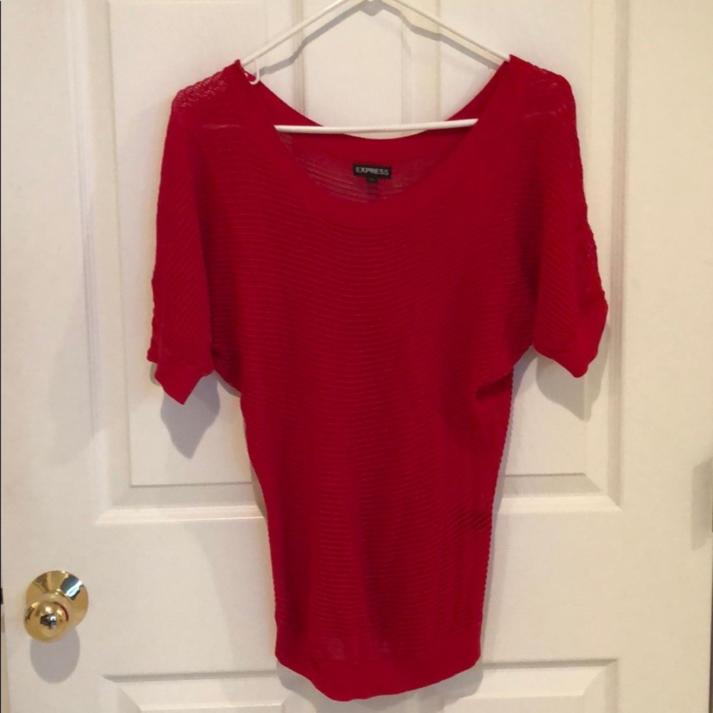 EXPRESS sweater